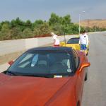 Palomar_0008 (September 10, 2011)